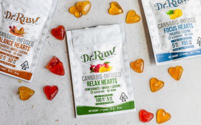 Various Sustainable Food Packaging
